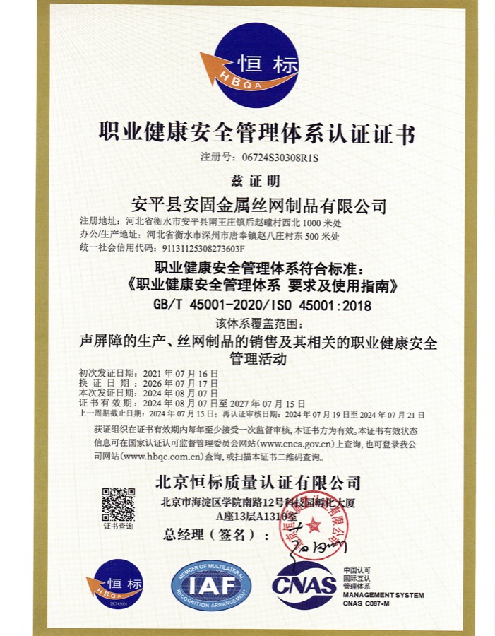 Occupational Health and Safety Management System Certificate — GB/T 45001-2020 / ISO 45001:2018 (06724S30308R1S)